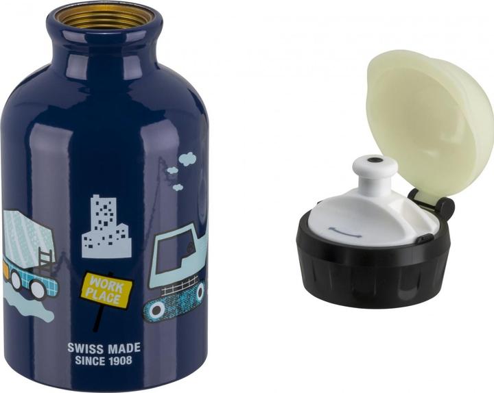 Actual product image Sigg Bottles (0.30 l)