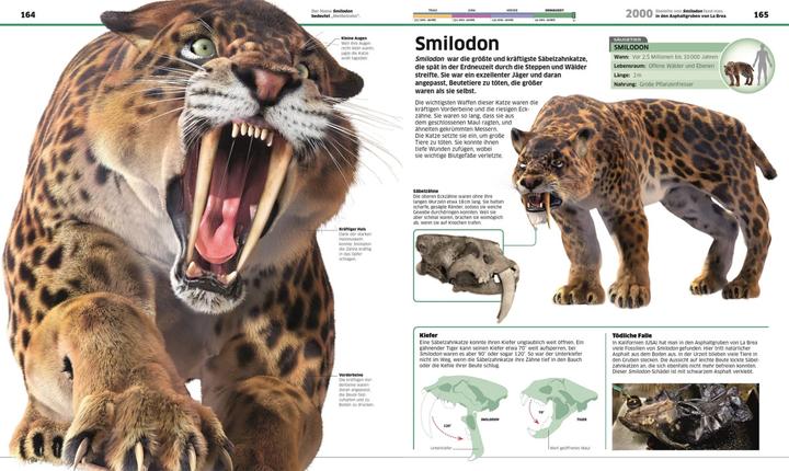 Immagine prodotto Wissen. Dinosaurier (Tedesco, John Woodward, 2020)