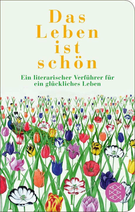 Produktbild Das Leben ist schön (Deutsch, Julia Gommel-Baharov, 2024)