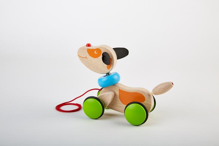 Actual product image Pintoy Pull-along puppy