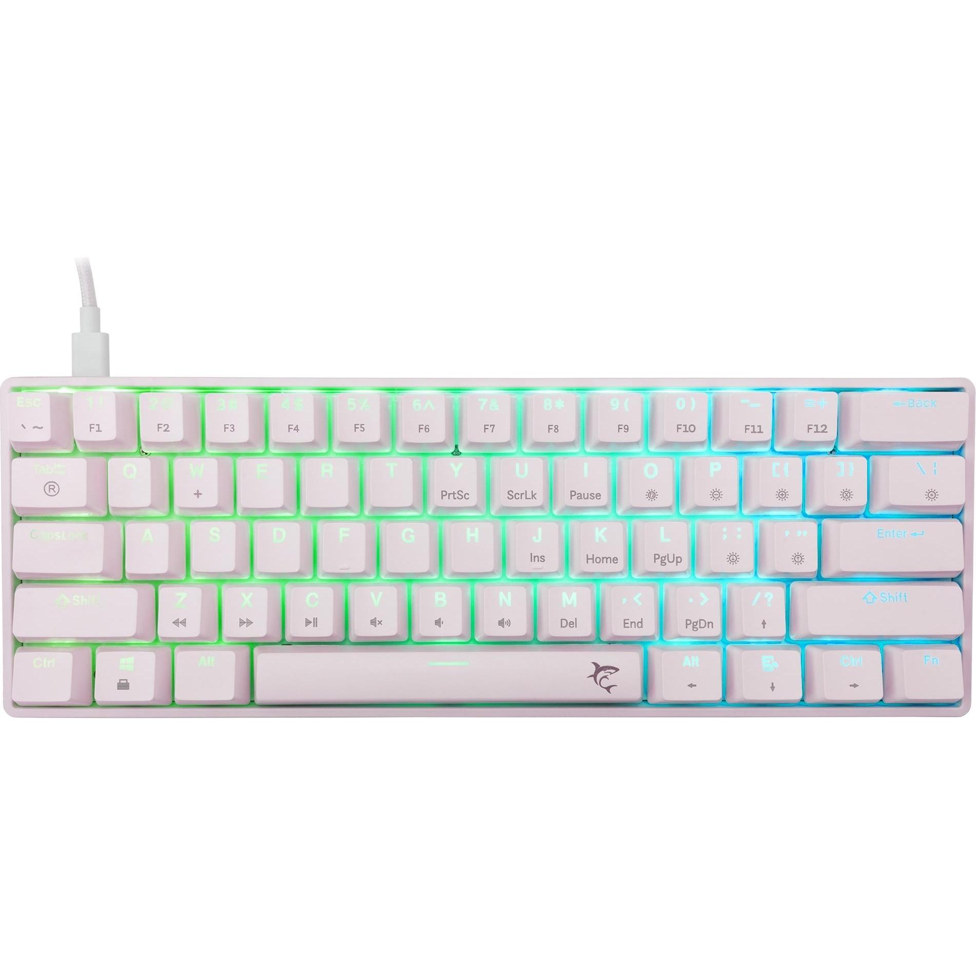 White Shark GK-004221 Shinobi-2 Blue switch, White US (USA, Kabelgebunden) (SHINOBI-2-W-US-BLUE.SW)