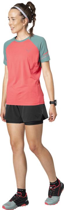 Actual product image Dynafit Alpine Pro T-Shirt (M)