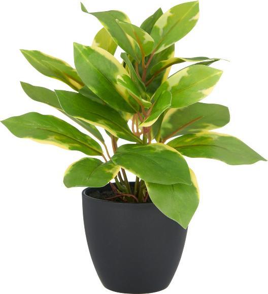 Immagine prodotto Gasper Kunstpflanze Epiprem.24cm