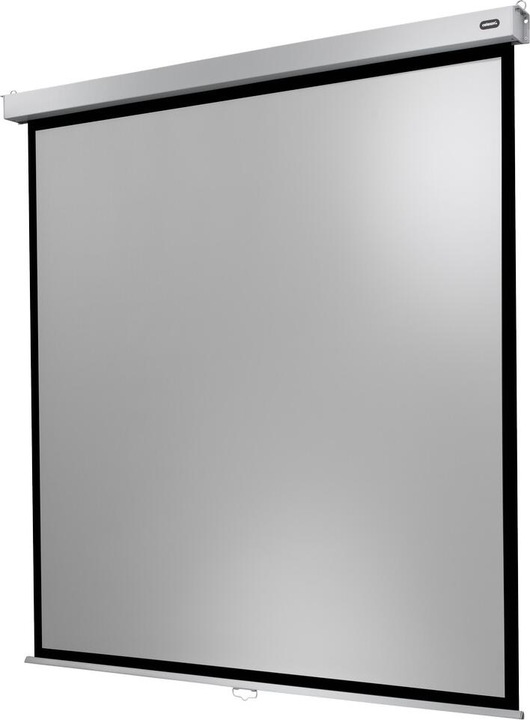 Image du produit Celexon Professionnel Plus (84", 1:1)