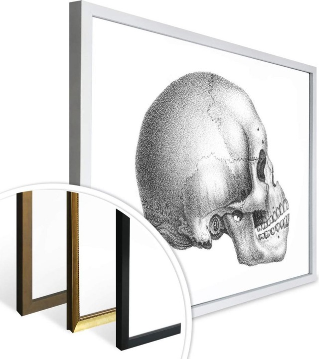 Actual product image Trenddeko Skull 02 (50 x 40 cm)