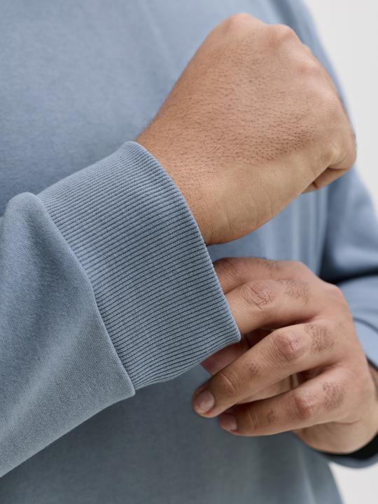 Produktbild Jack & Jones Jjebradley Sweat Crew Noos Pls