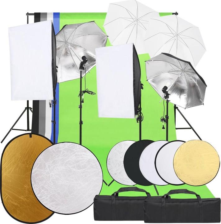 vidaXL Fotostudio-Kit (300 cm, 210 cm)