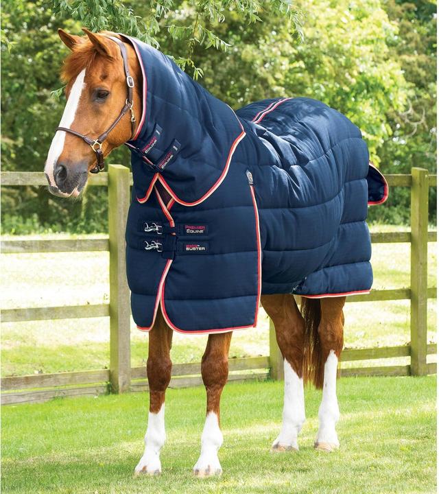Produktbild Premier Equine Stable Buster 200g (168 cm)