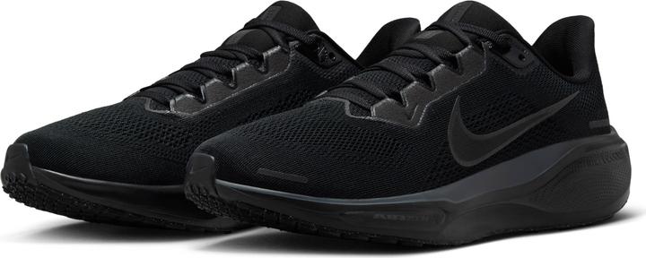 Image du produit Nike Pegasus 41 (42)