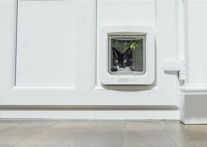 Immagine prodotto SureFlap Collegati a (Zampa per gatti con microchip)
