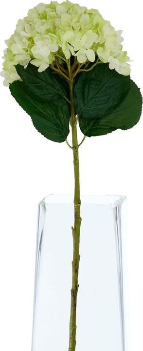 Immagine prodotto Hill Interiors Ortensia Fiore Artificiale (73 cm)