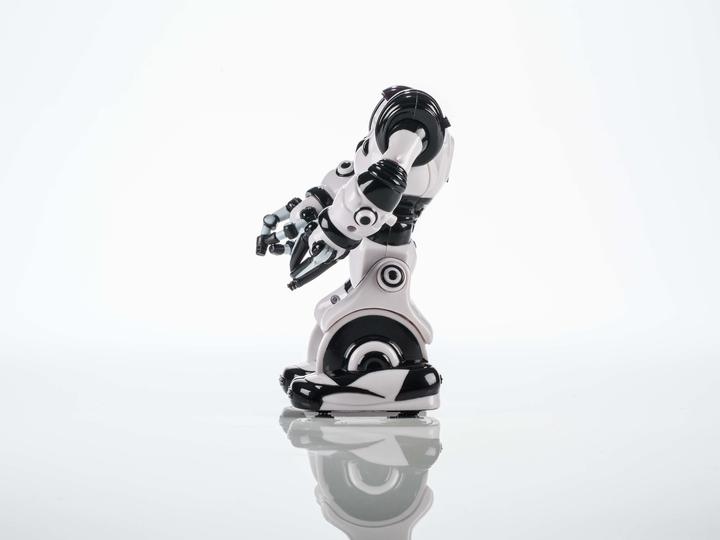 Image du produit WowWee Robot Mini Robosapien