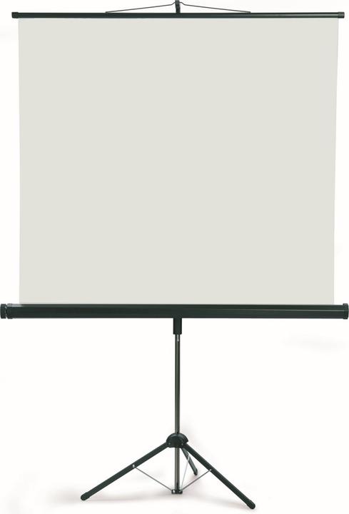 Franken Stativleinwand 240 x cm Projektionsfläche (1:1)