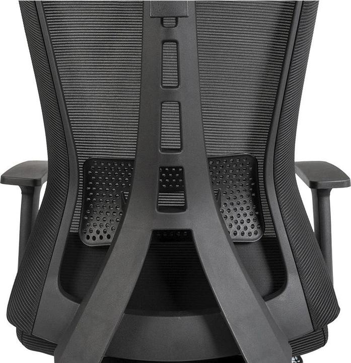 Produktbild Contini ErgoFlex (47 - 53 cm)