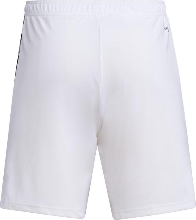 Actual product image adidas Tiro 23 training shorts men (XS)