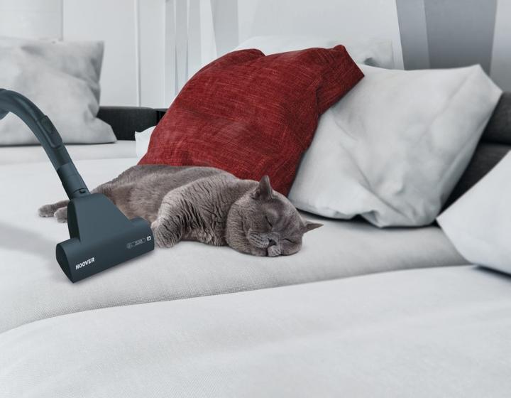Produktbild Hoover BR40PET 011