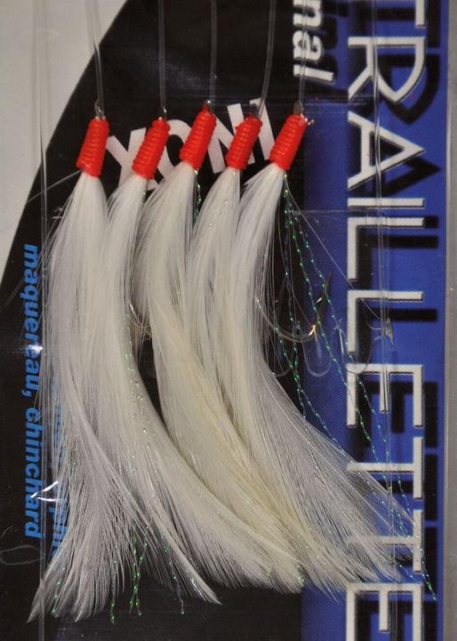 Actual product image Ragot Mitraillette.BLC.5H 2.0 60 INOX