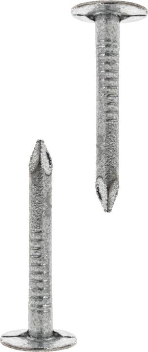 Helpmate Dachpappnägel 2x20, verzinkt, 1000 Gramm (1 Stk., 20 mm)