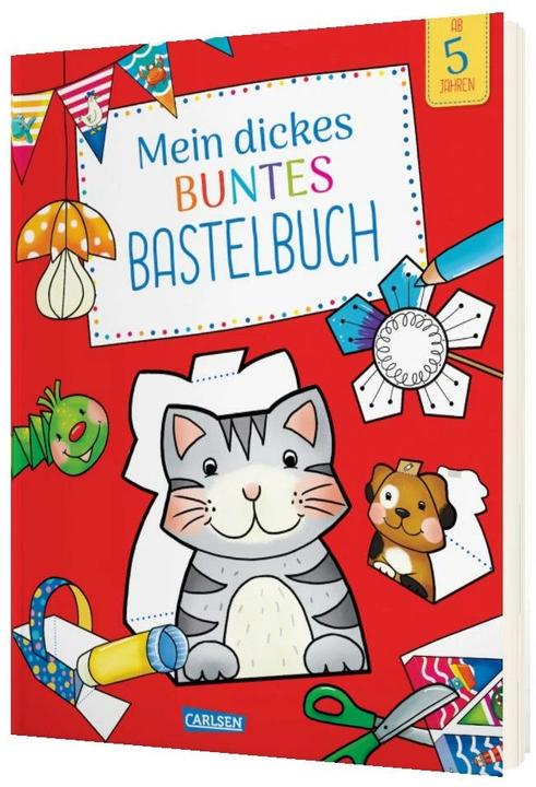 Mijn dikke kleurrijke knutselboek