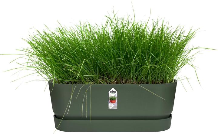 Actual product image Elho Greenville (20 cm)