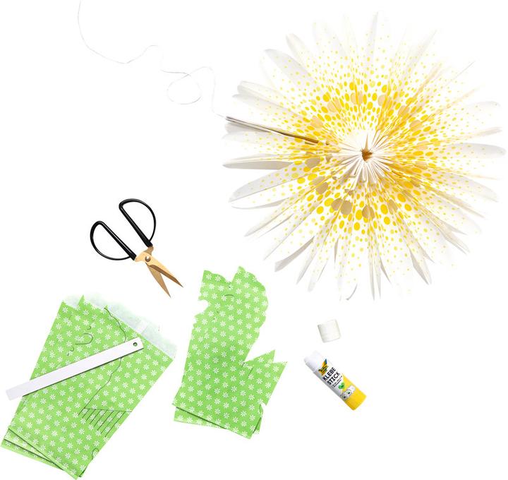 Immagine prodotto Folia Set per bricolage fiori di sacchetti die carta