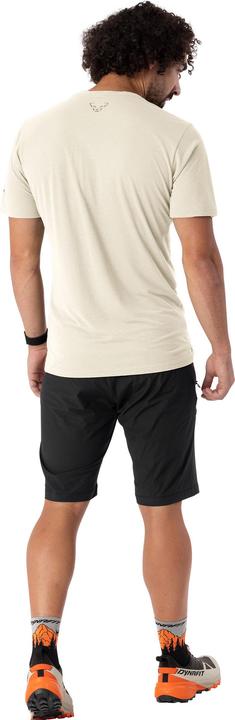 Actual product image Dynafit Transalper Light Dynastretch Shorts (M)