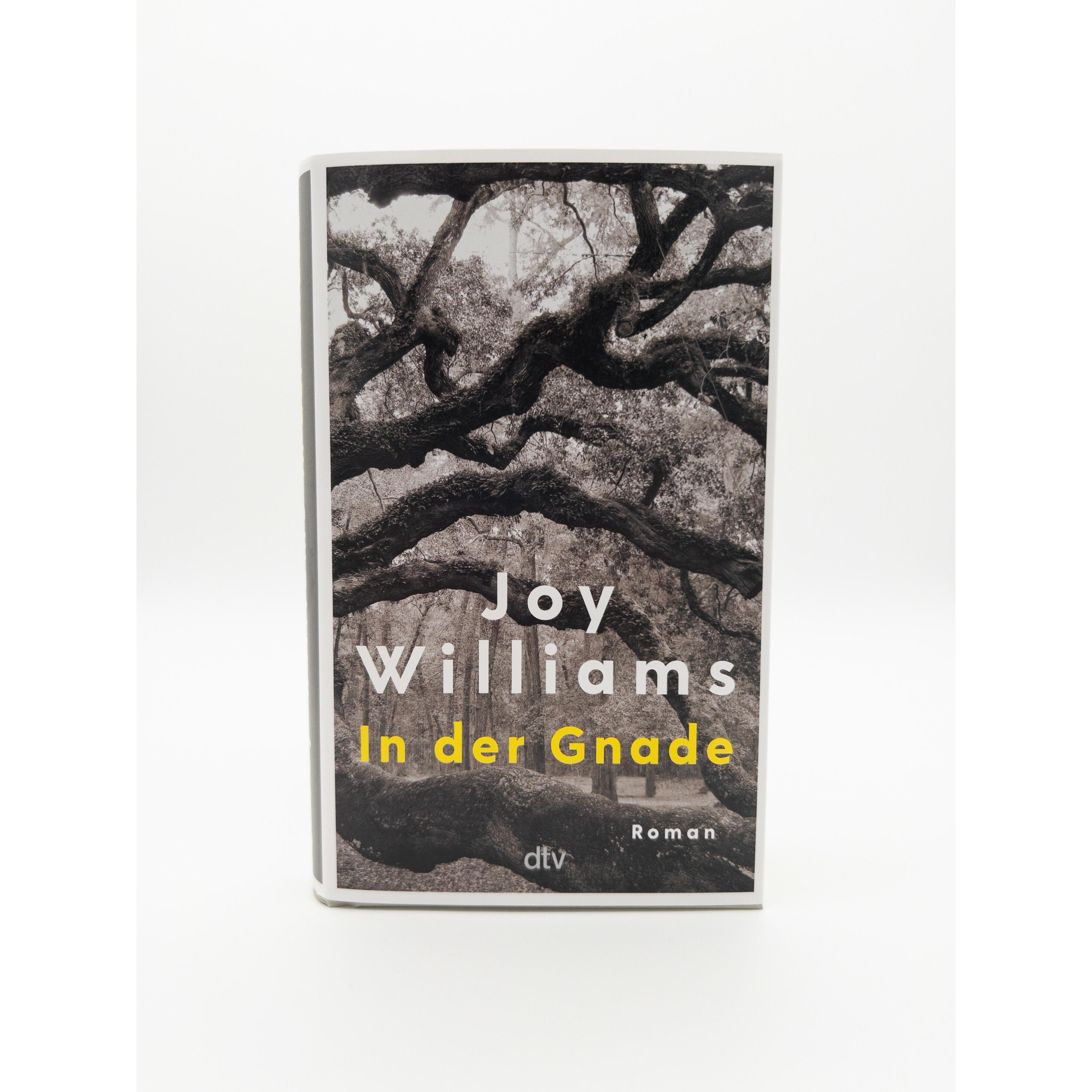 Thumbnail - In der Gnade, Belletristik von Joy Williams