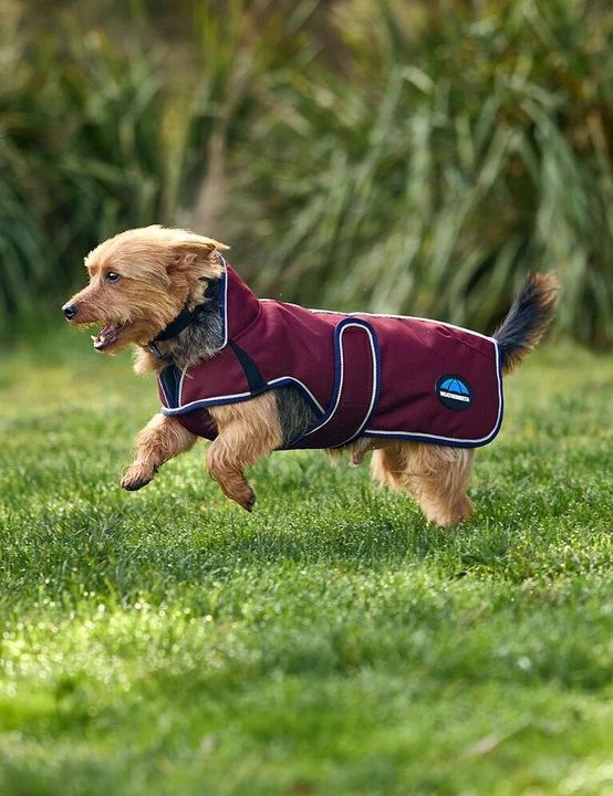 Actual product image Weatherbeeta Comfitec Premier Deluxe (30, Dog raincoat)