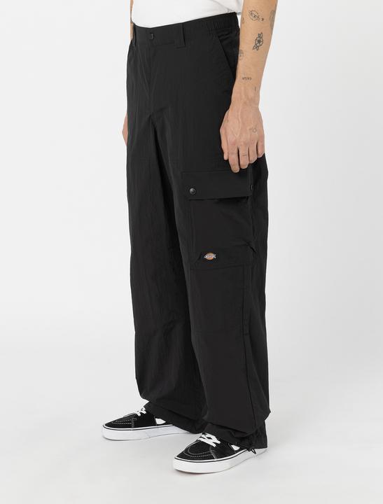 Actual product image The Dickies Jackson Cargo Pant Black (XS)