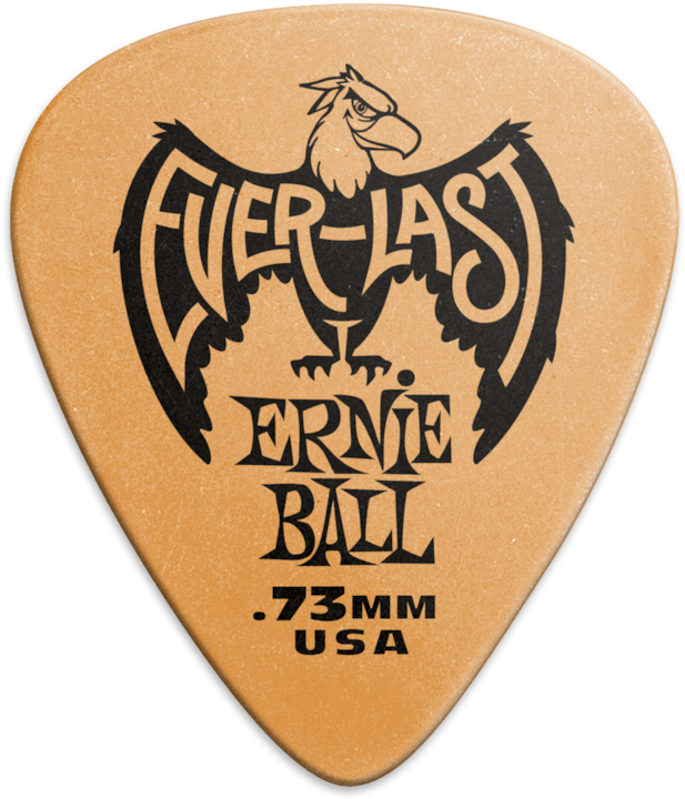 Image du produit Ernie Ball Everlast (12 x, 0.73 mm)