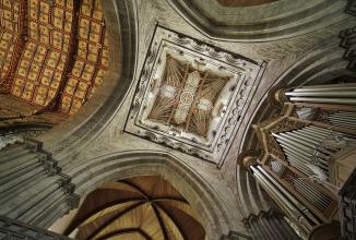 Immagine prodotto Venus Optic Laowa 14mm f/4 FF RL Zero-D Canon RF (Canon RF, Full frame)