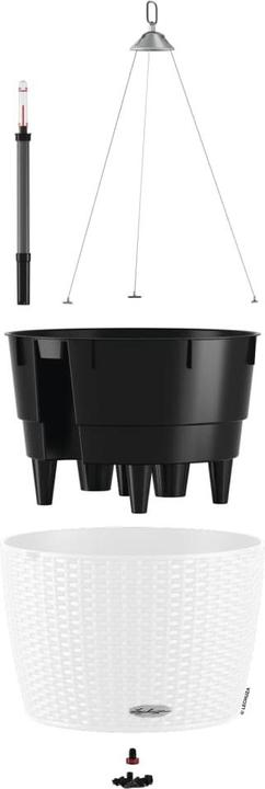 Image du produit Lechuza Nagendra (35 x 23 cm)