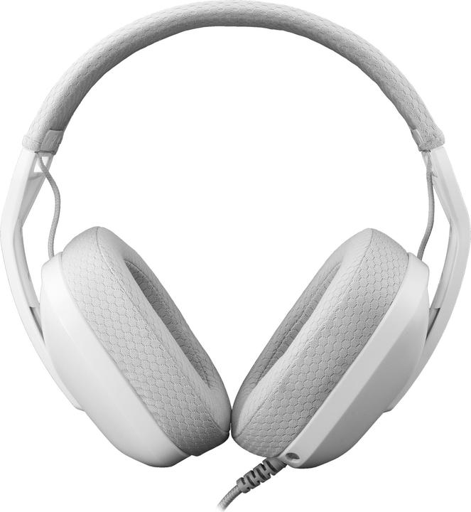 Immagine prodotto White Shark Squalo GH-2443 Passero Bianco (Cablato)