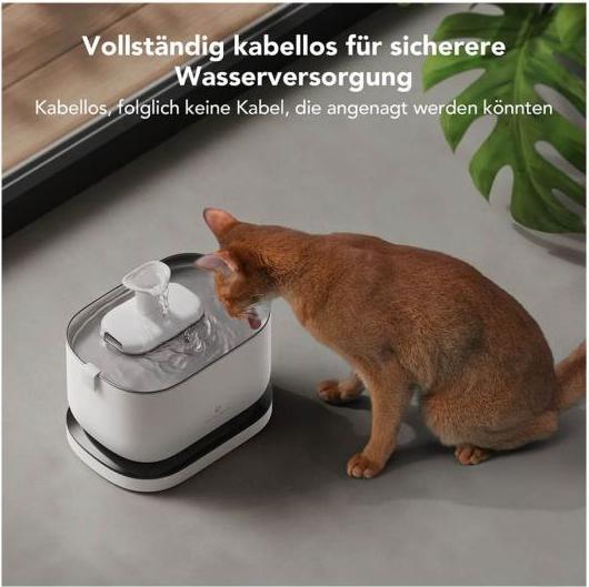 Actual product image Petlibro Dockstream Battery-Operated Water Fountain (2.50 l)