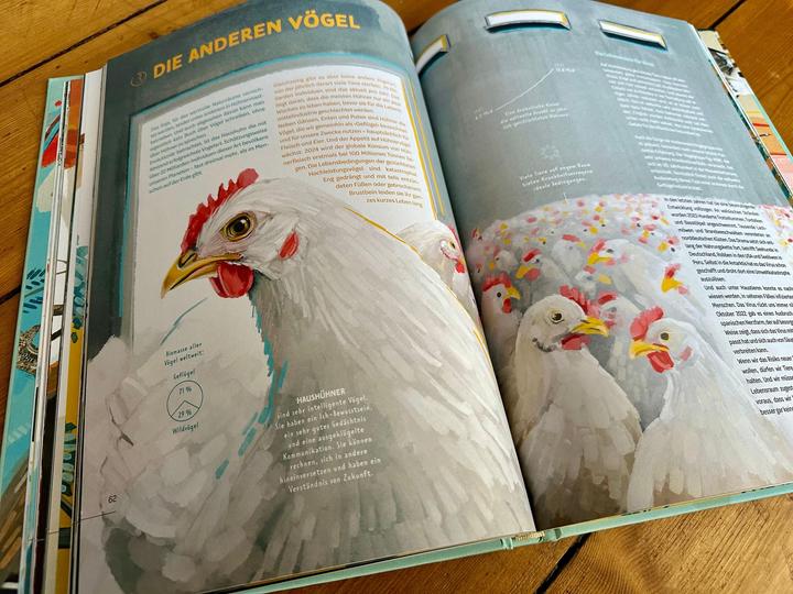 Image du produit Die Welt in einer Eierschale (Allemand, Sarah Heuzeroth, 2024)