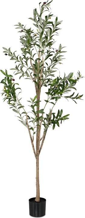 Relaxdays Olivenbaum (180 cm)