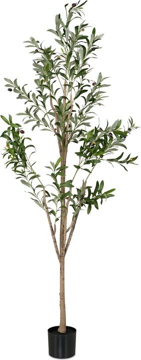 Immagine prodotto Relaxdays Albero d'ulivo (180 cm)