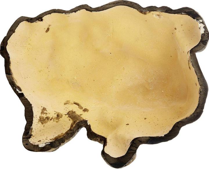 Productafbeelding Exo Terra Reptielengrot