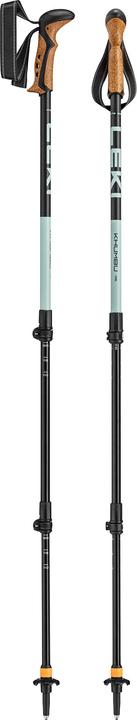 Black, dark sea green, Tuerkis