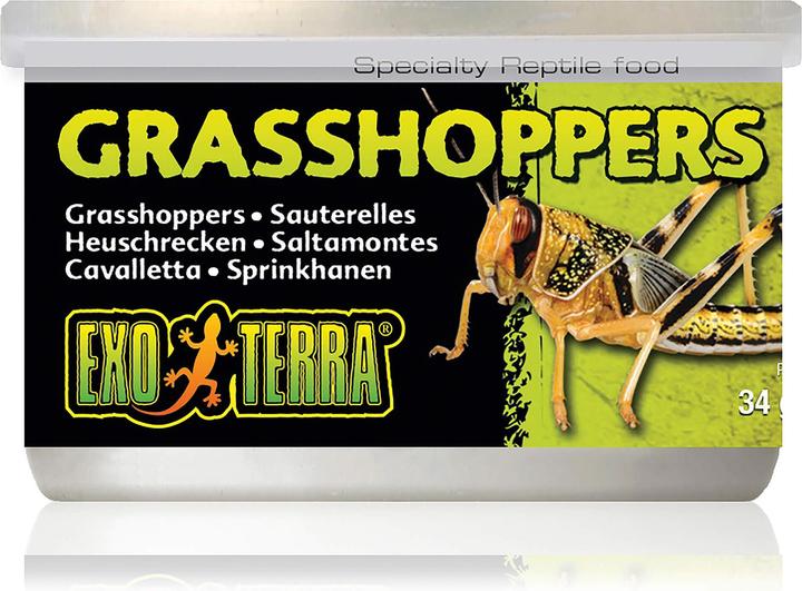 Exo Terra Reptilienfutter Grasshoppers 34g (1 x, 0.03 kg)