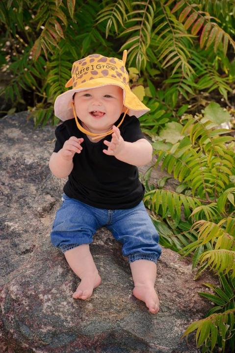 Immagine prodotto flapjackkids Giraffa e zebra