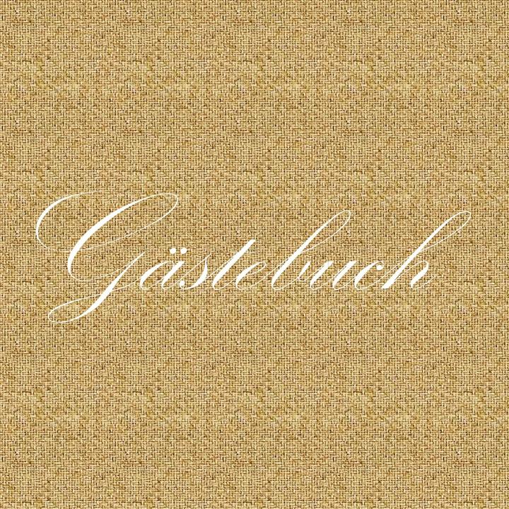 Image du produit Livre d'or - aspect lin (Allemand, Chris Tin, 2023)