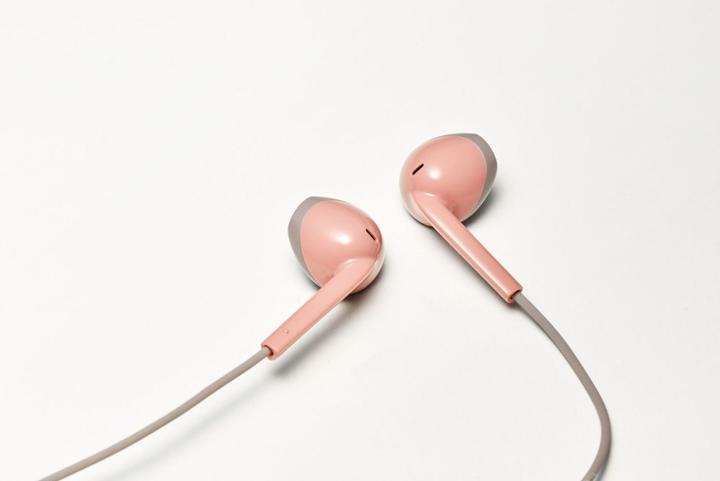 Actual product image JVC HA-F19M (No noise cancelling, Cable)