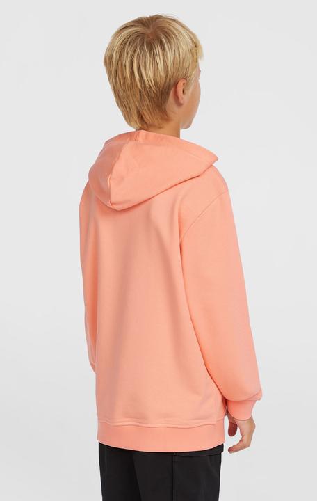 Image du produit O'Neill Logo Hoodie (164)