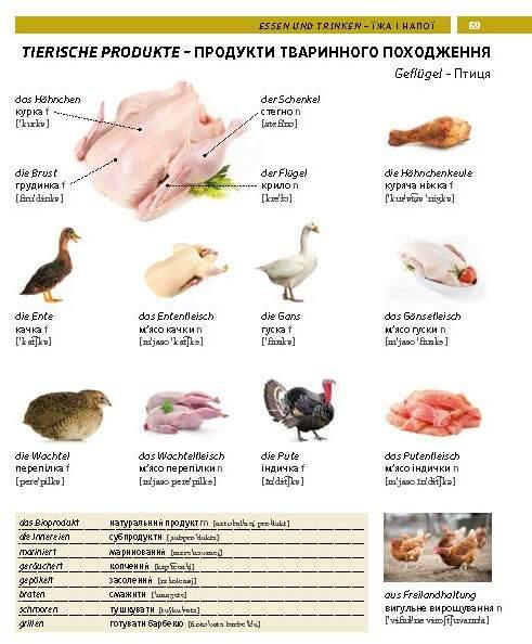 Produktbild PONS Bildwörterbuch Ukrainisch (Deutsch, Ukrainisch, 2026)