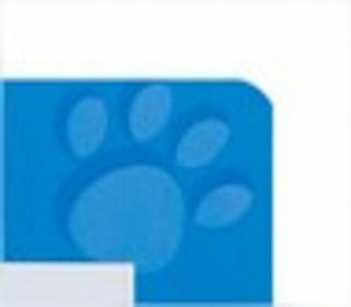 Actual product image Oxford Exercise book, A4, ruling 2 (A4)