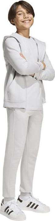 Produktbild Adidas Ent26 Fz Hood Y - tmlggr/white (140)