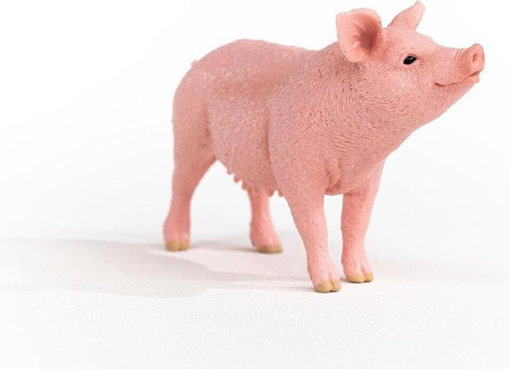 Actual product image Schleich Schwein