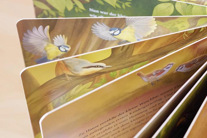 Produktbild Der kleine Waschbär traut sich was – ein Bilderbuch für Kinder ab 2 Jahren (Deutsch, Lea Kässmann, 2021)