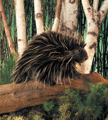 Actual product image Folkmanis Porcupine